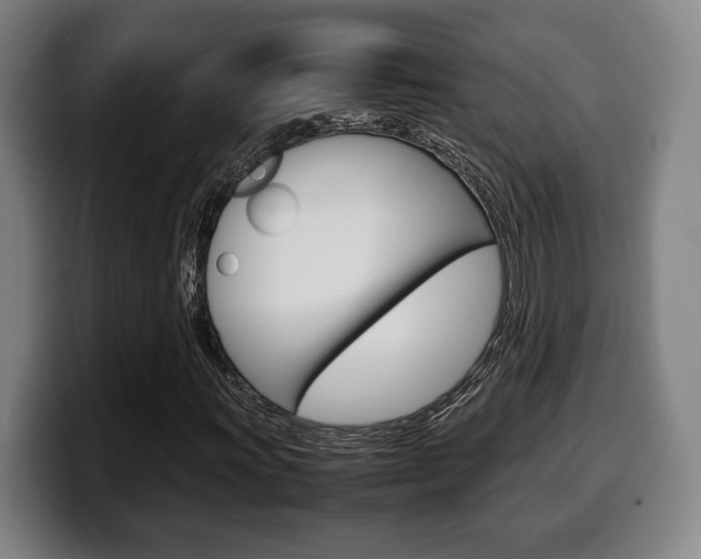 X0000099511011200805151006