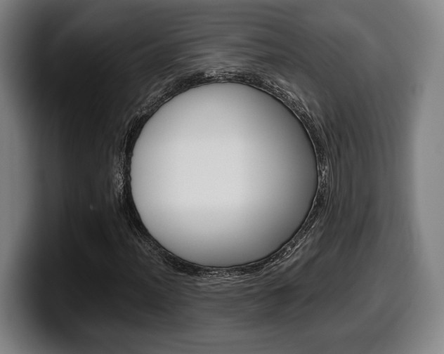 X0000099511012200805151006