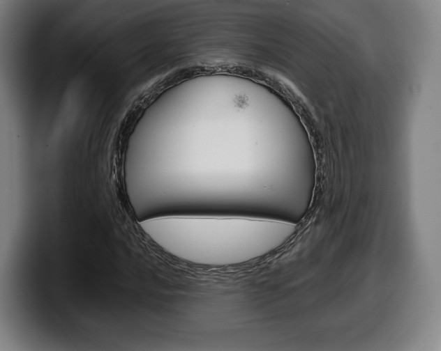 X0000099511016200805151006