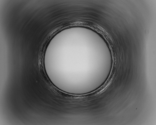 X0000099511017200805151006