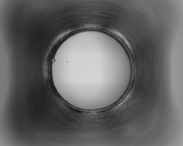 X0000099511019200805151006