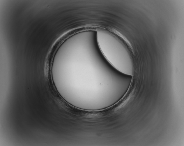 X0000099511021200805151006