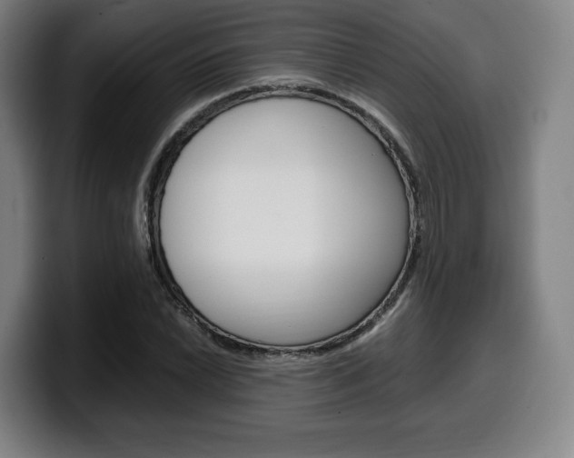 X0000099511022200805151006