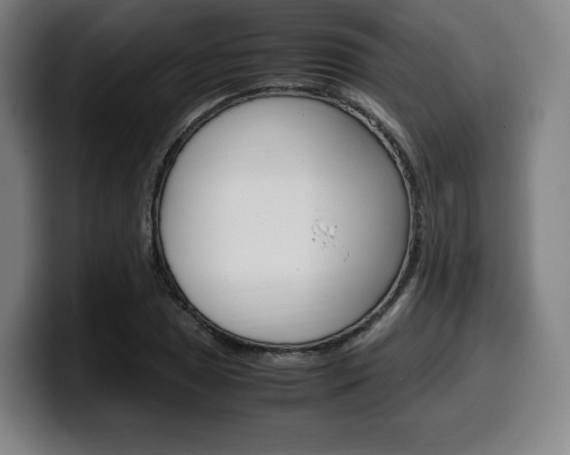 X0000099511025200805151006