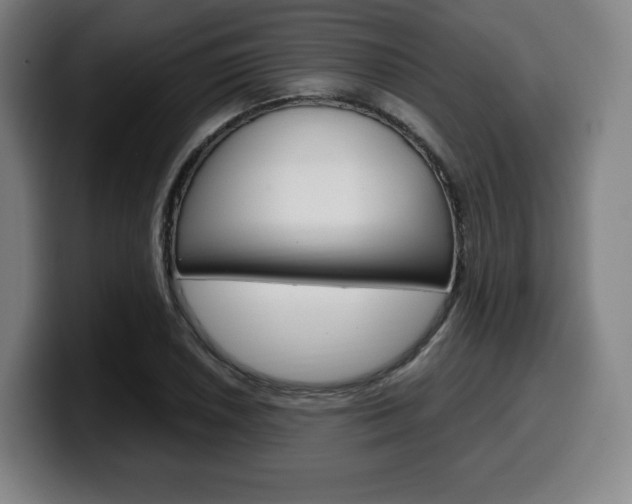 X0000099511026200805151006