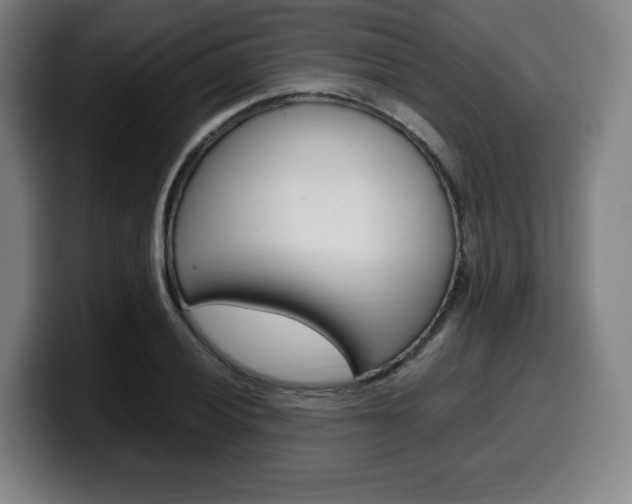 X0000099511028200805151006