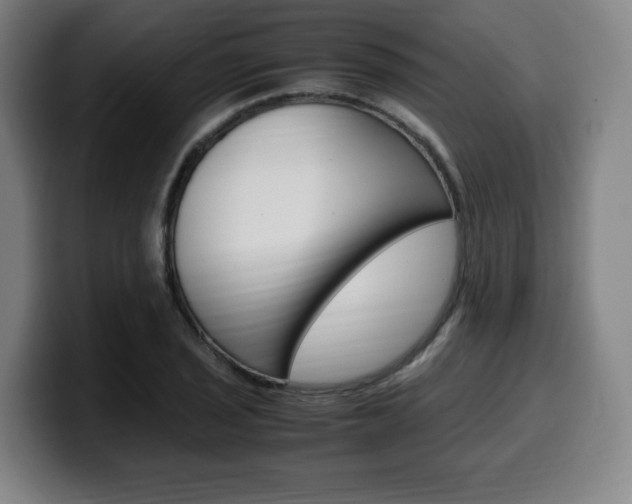 X0000099511029200805151006