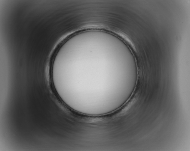 X0000099511030200805151006
