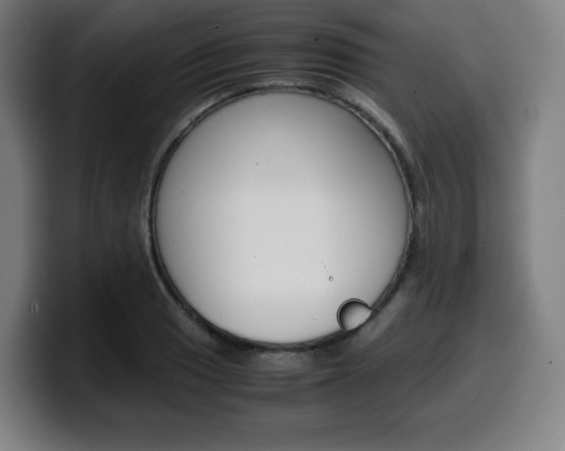 X0000099511033200805151006