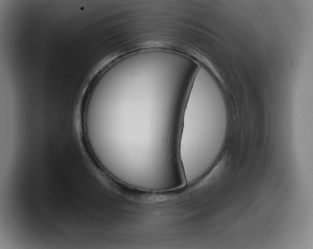 X0000099511034200805151006