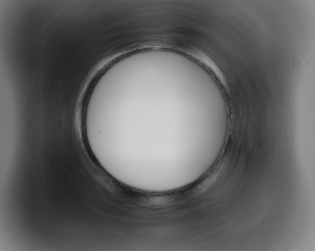 X0000099511035200805151006