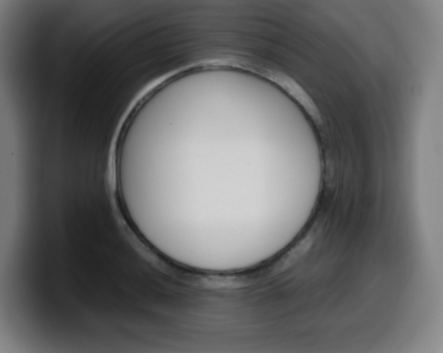 X0000099511036200805151006