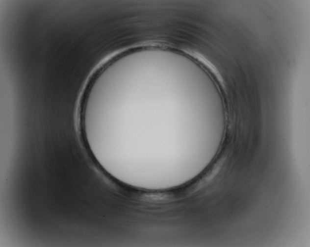 X0000099511037200805151006