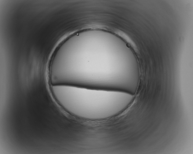 X0000099511040200805151006