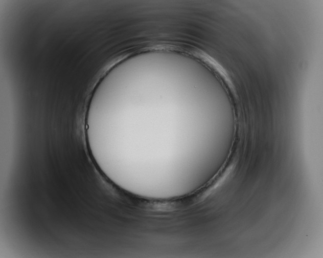 X0000099511041200805151006