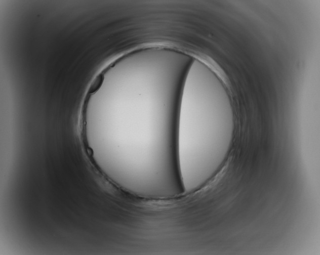 X0000099511044200805151006