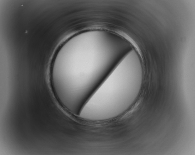 X0000099511045200805151006