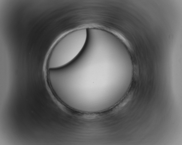X0000099511046200805151006