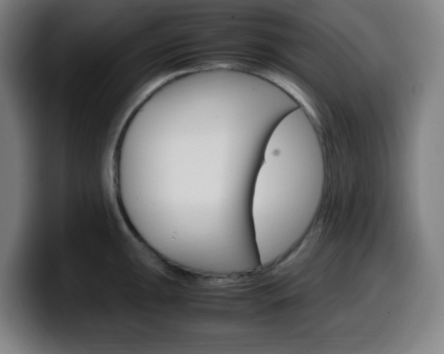 X0000099511047200805151006