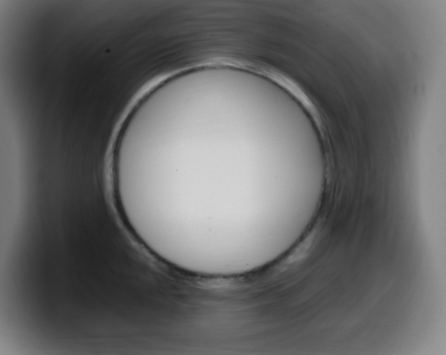 X0000099511048200805151006
