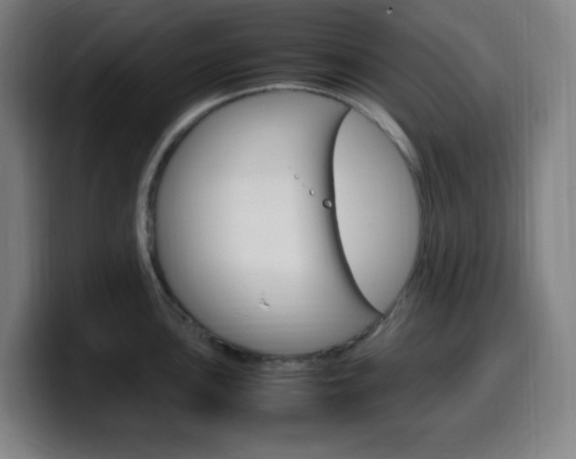 X0000099511051200805151006