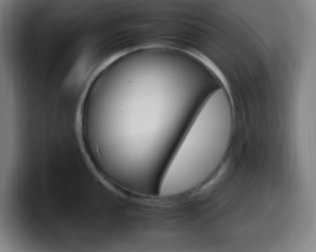 X0000099511053200805151007