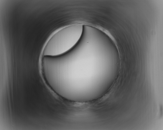 X0000099511056200805151007