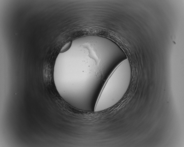 X0000099511058200805151006