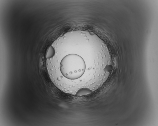 X0000099511059200805151006