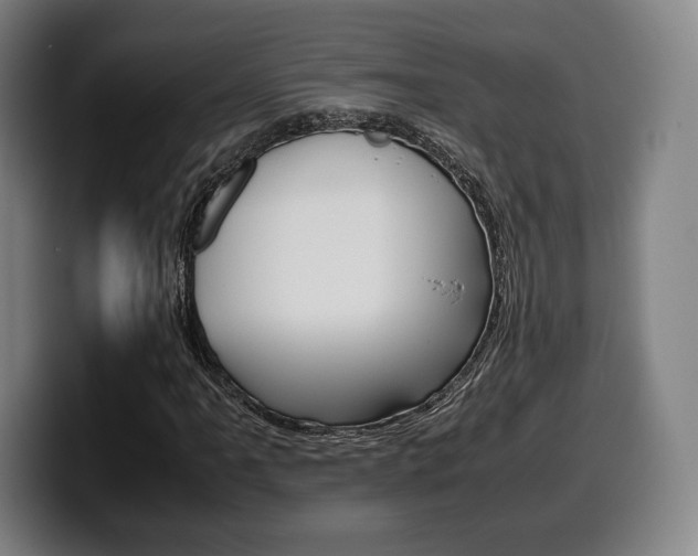 X0000099511061200805151006