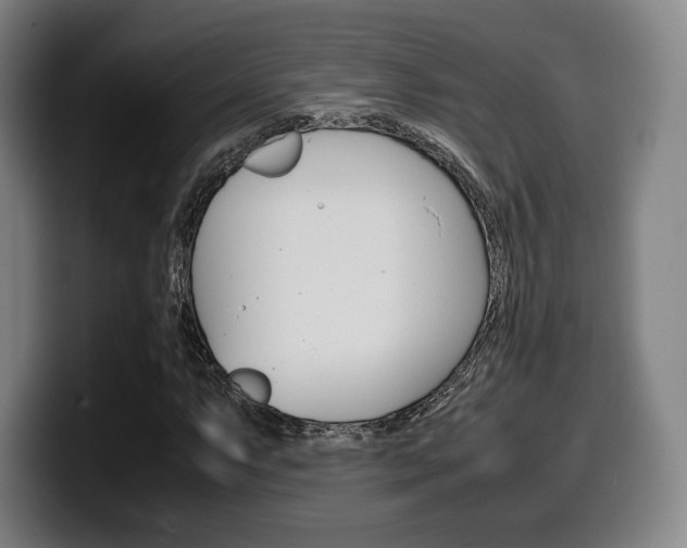 X0000099511063200805151006