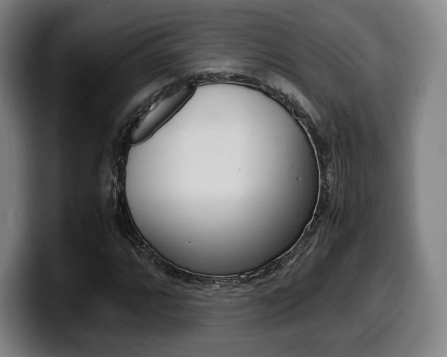 X0000099511064200805151006