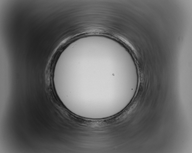 X0000099511067200805151006