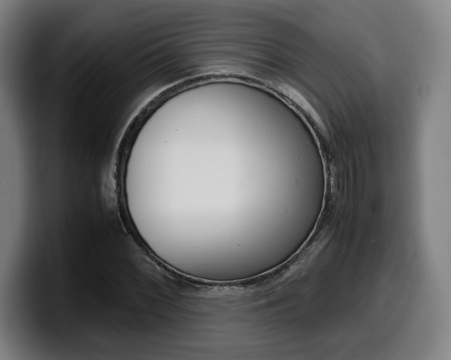 X0000099511068200805151006
