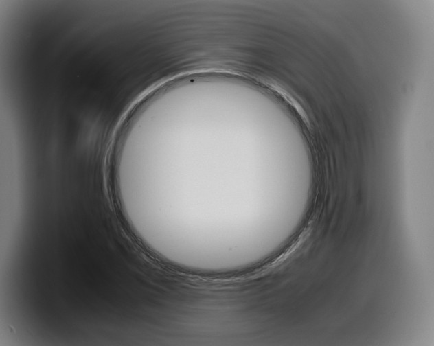 X0000099511069200805151006