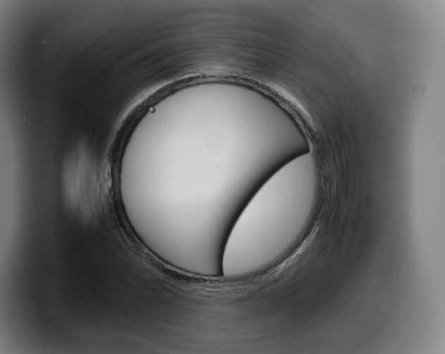 X0000099511070200805151006