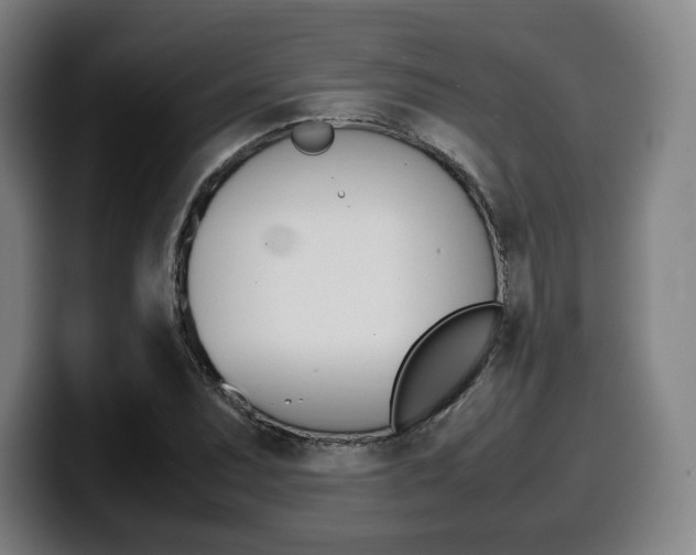 X0000099511071200805151006
