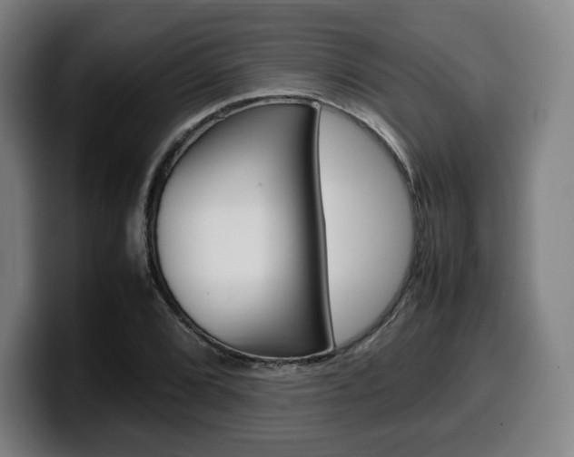 X0000099511072200805151006