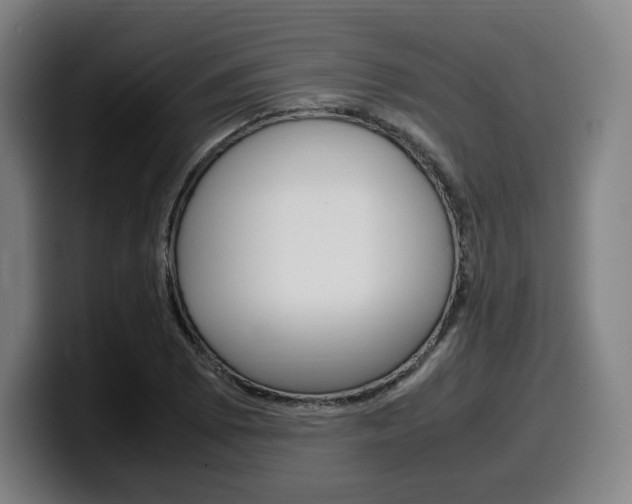 X0000099511073200805151006