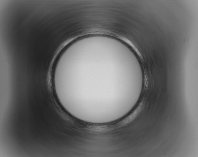 X0000099511074200805151006