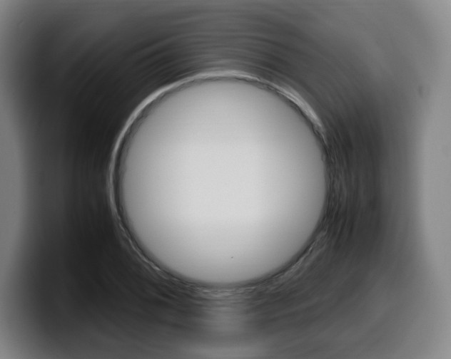 X0000099511076200805151006