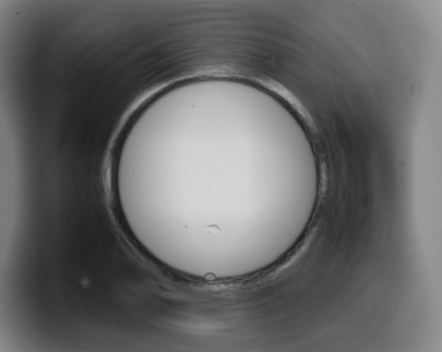 X0000099511078200805151006