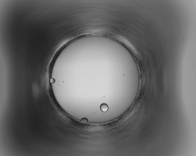 X0000099511079200805151006