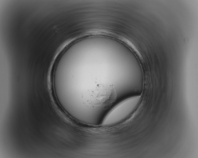 X0000099511082200805151005