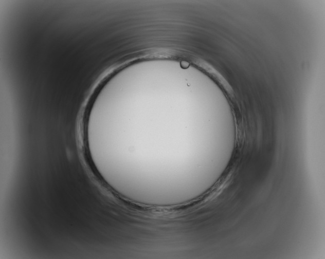 X0000099511083200805151005