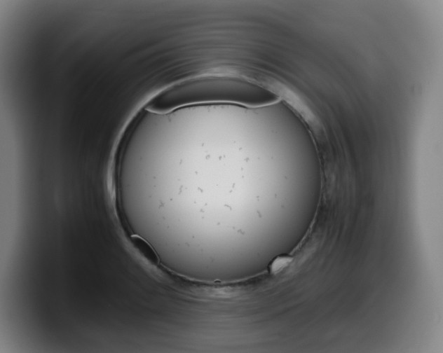 X0000099511084200805151005