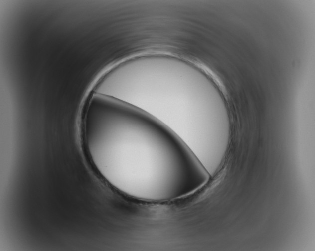 X0000099511085200805151005