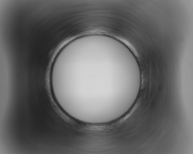 X0000099511086200805151005