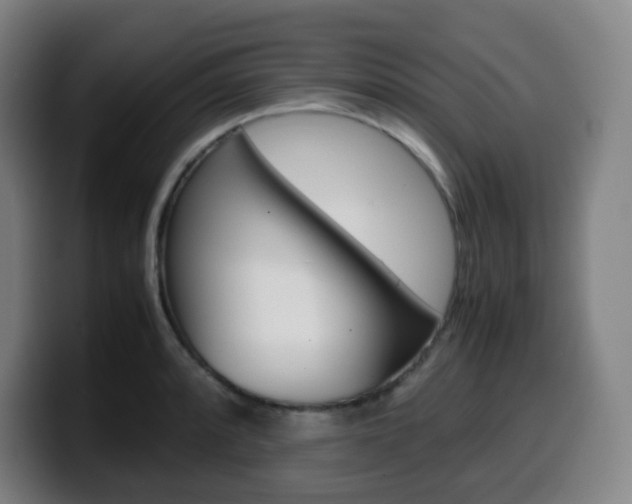 X0000099511088200805151005