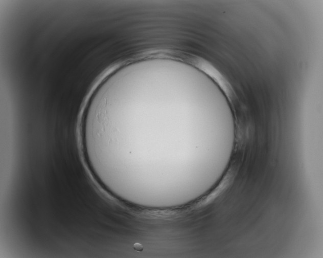 X0000099511090200805151005